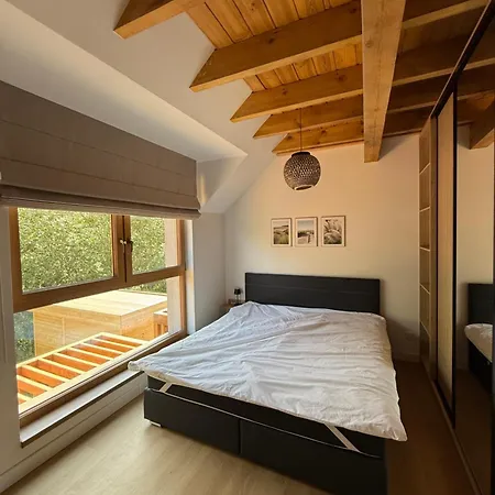 Czyżyk - Apartament